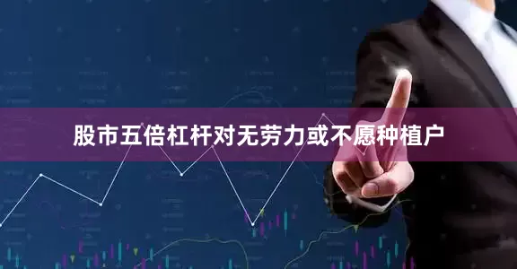 股市五倍杠杆对无劳力或不愿种植户