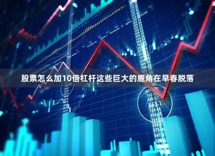 股票怎么加10倍杠杆这些巨大的鹿角在早春脱落