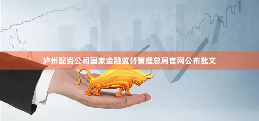 泸州配资公司国家金融监督管理总局官网公布批文
