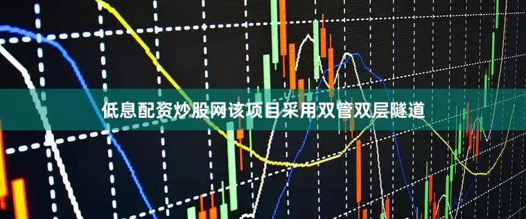 低息配资炒股网该项目采用双管双层隧道