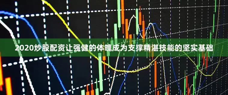 2020炒股配资让强健的体魄成为支撑精湛技能的坚实基础