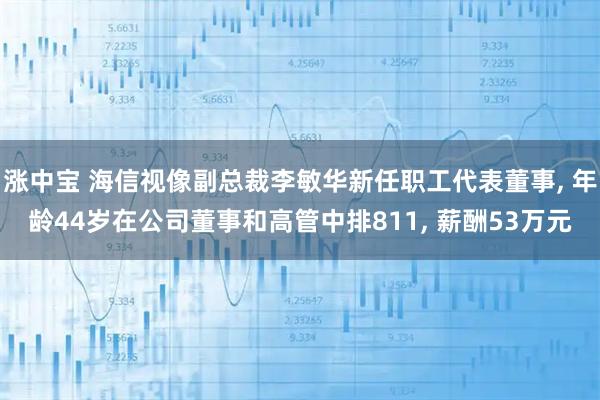 涨中宝 海信视像副总裁李敏华新任职工代表董事, 年龄44岁在公司董事和高管中排811, 薪酬53万元