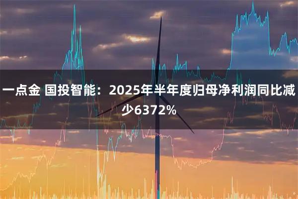 一点金 国投智能:2025年半年度归母净利润同比减少6372%