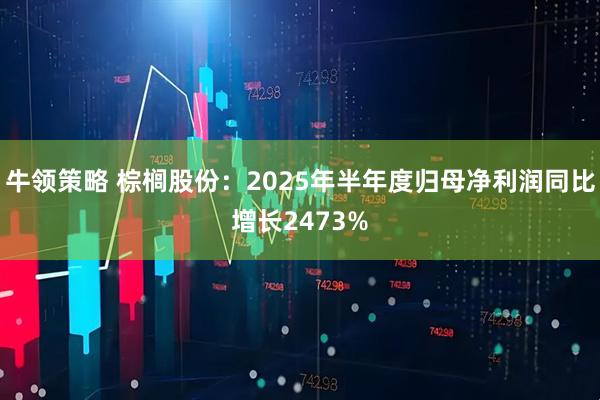 牛领策略 棕榈股份:2025年半年度归母净利润同比增长2473%