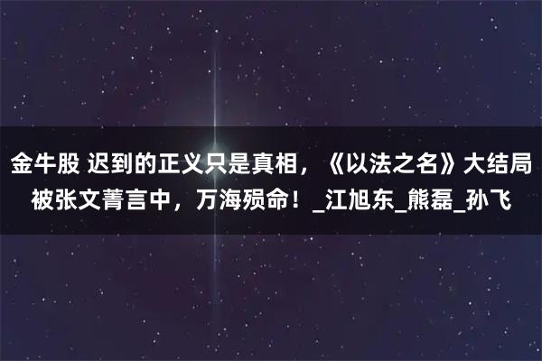 金牛股 迟到的正义只是真相,《以法之名》大结局被张文菁言中,万海殒命!_江旭东_熊磊_孙飞